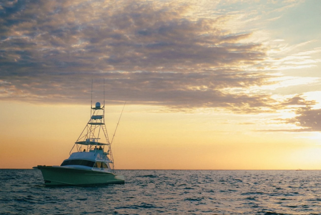 best time for fishing charters in tauranga