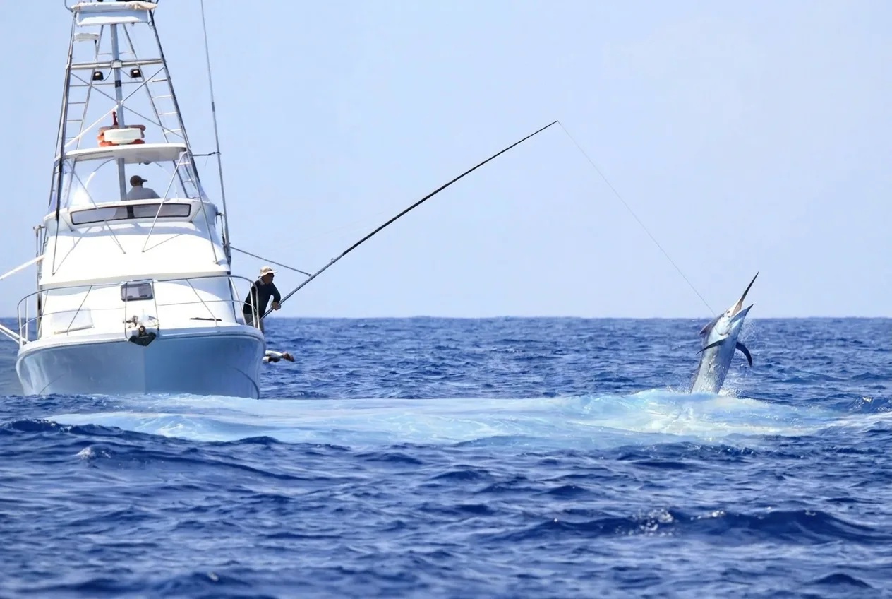 marlin fishing