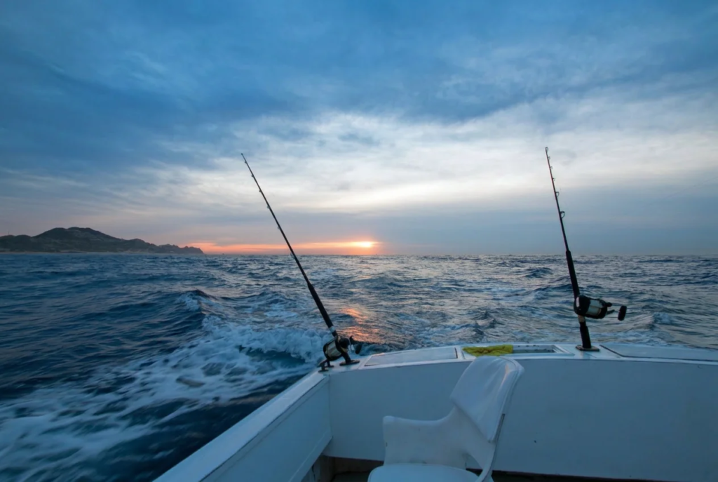offshore fishing in northland
