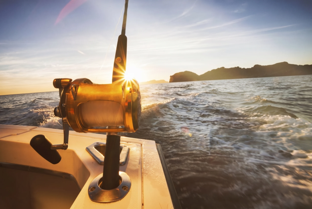 offshore fishing in tauranga