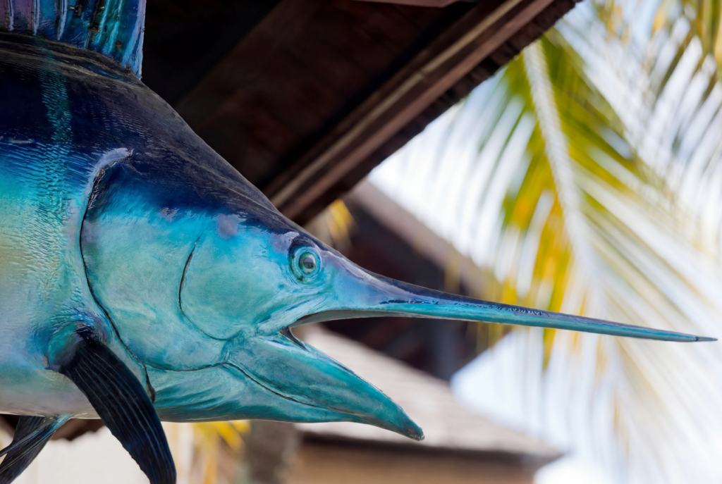 Big Game Fishing in NZ: Where to Catch Trophy Fish big game fishing nz trophy fish.webp