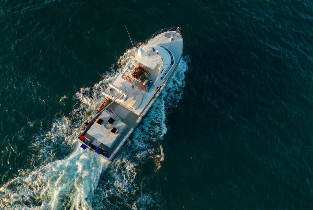 north island big game fishing nz.webp