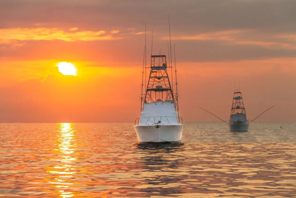 tauranga big game fishing nz.webp