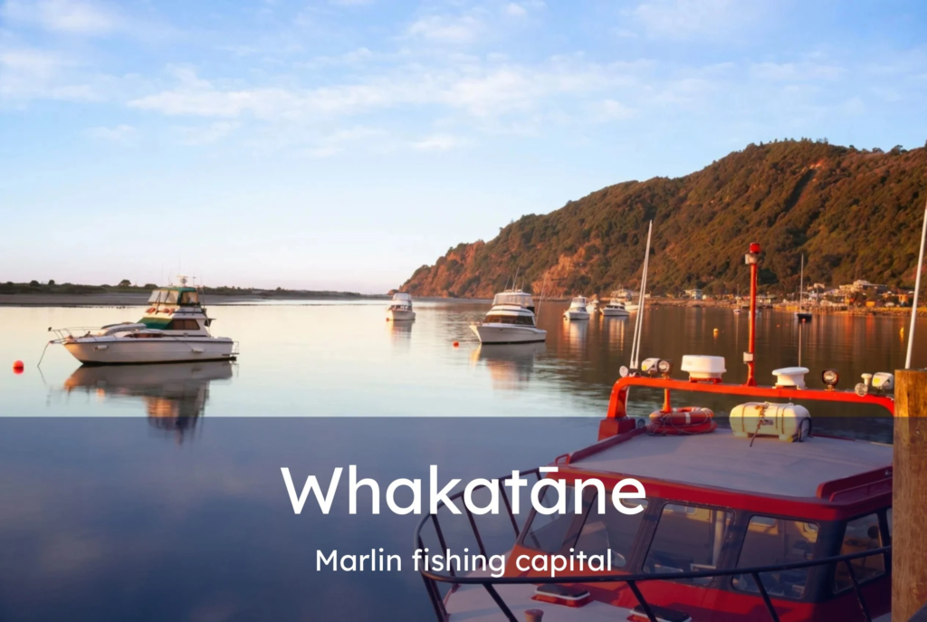 whakatane coast new zealand home