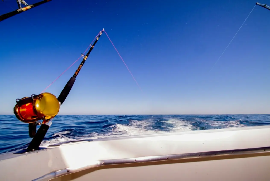 Why New Zealand Is a Top Destination for Marlin Fishing why marlin fishing new zealand.webp